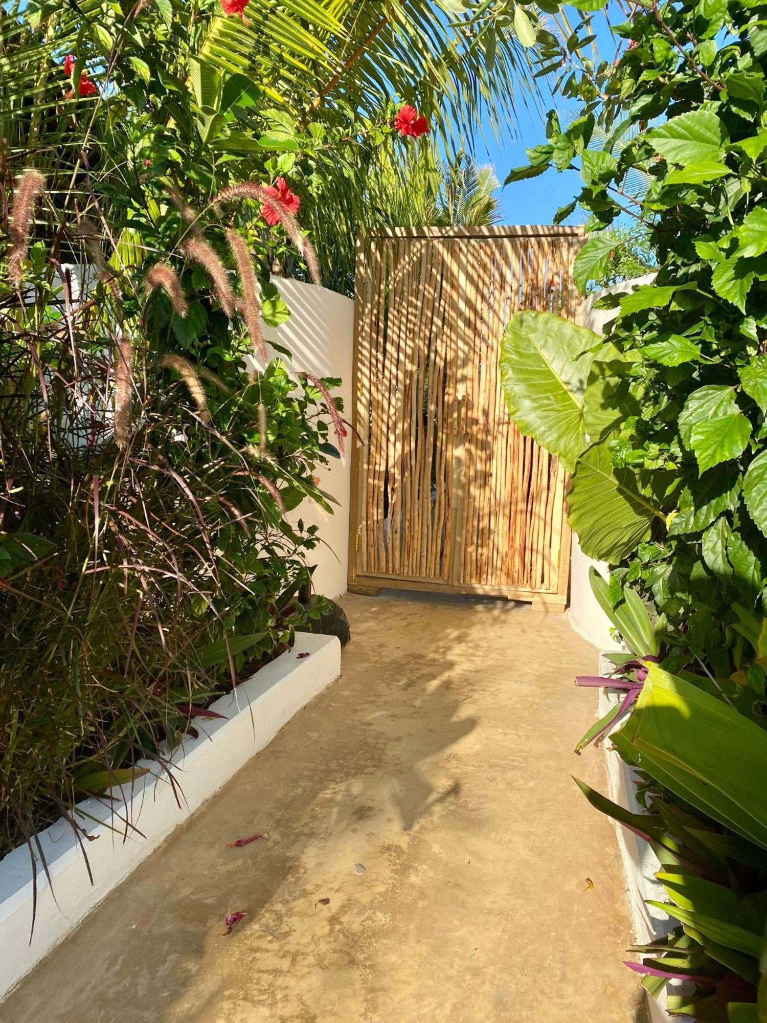 Zen Boutique Resort 잠비아니 외부 사진